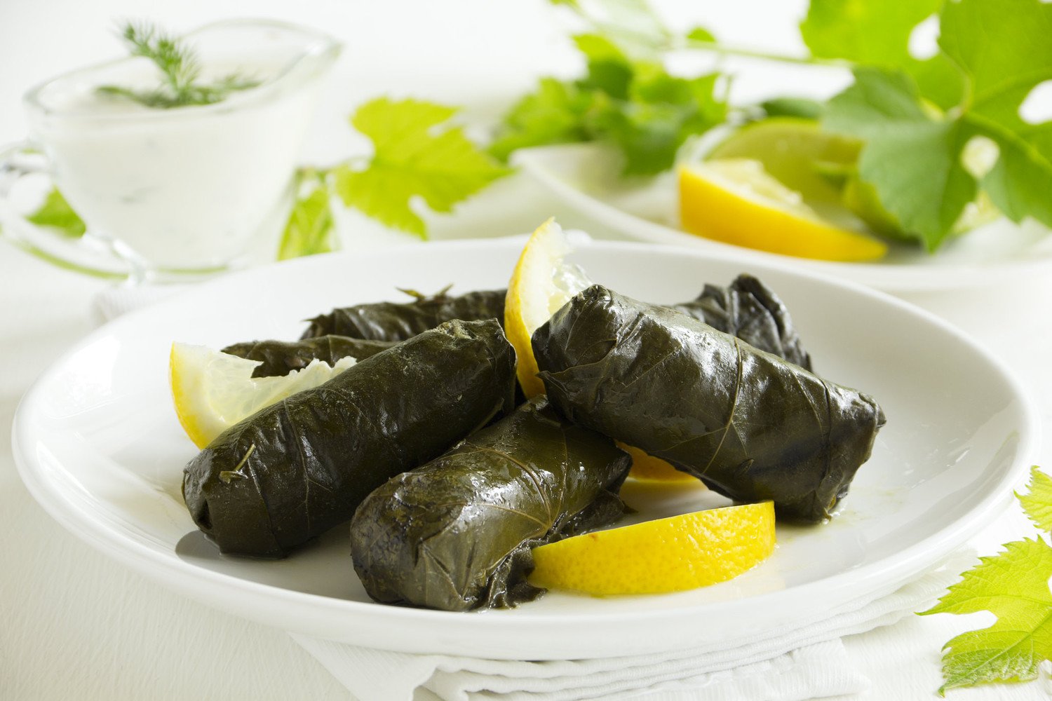 Dolmades by Lesya Dolyk on Flickr